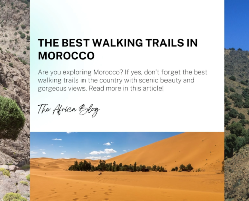 The Best Walking Trails in Morocco