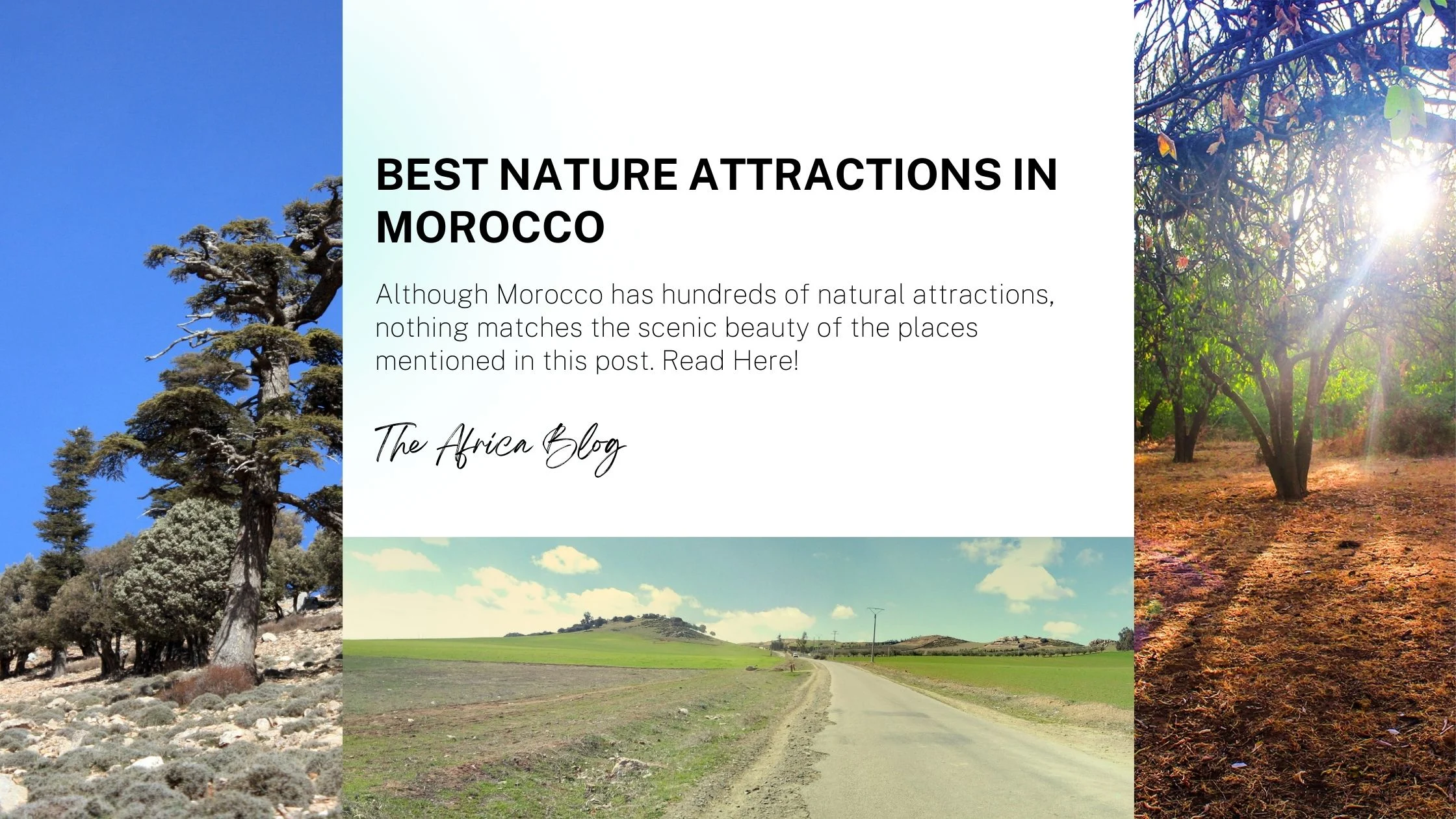 Best Nature Attractions in Morocco