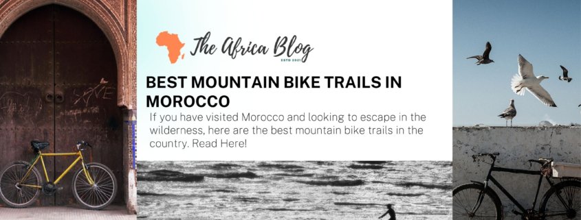 The Best Mountain Bike trails in Morocco